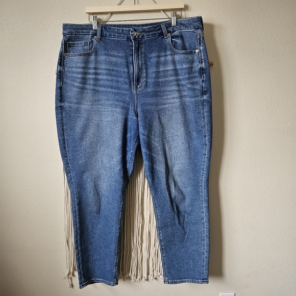 American Eagle Outfitters Denim - American Eagle AE Curvy Mom Jean 20R